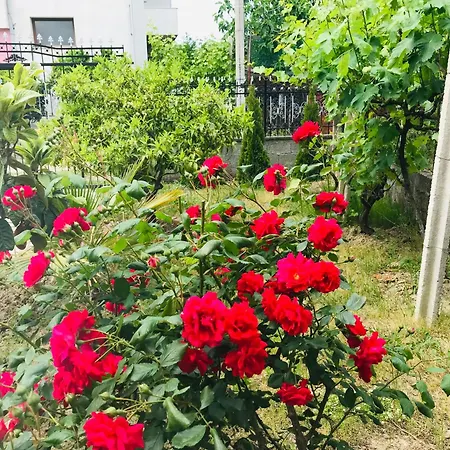 Villa Ajla Durres
