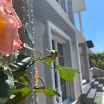 Ajla Βίλα *