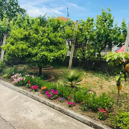 Ajla * Durrës